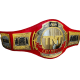 TNT AEW Championship Belt, All Elite Wrestling Replica Belt