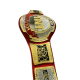 TNT AEW Championship Belt, All Elite Wrestling Replica Belt