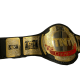 TNT AEW Championship Wrestling Belt, TNT Black Leather Replica Belt