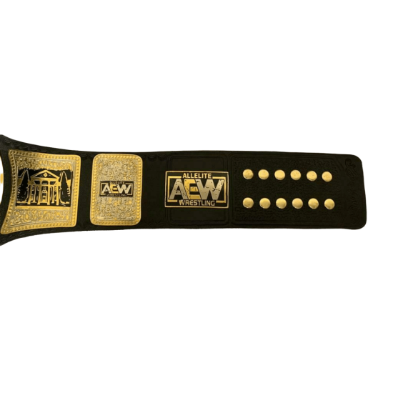 TNT AEW Championship Wrestling Belt, TNT Black Leather Replica Belt