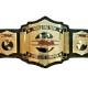 TNA World Tag Team Wrestling Championship Belt Adult Size - Brass Metal