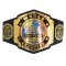 AEW Tag Team Wrestling Championship Belt Adult Size - Brass Metal